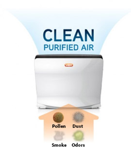Best Air Purifiers in Action