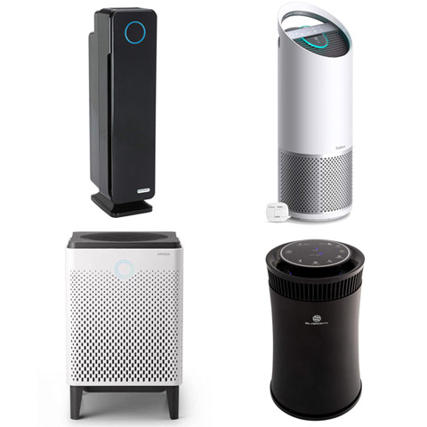 Best air purifiers for basements